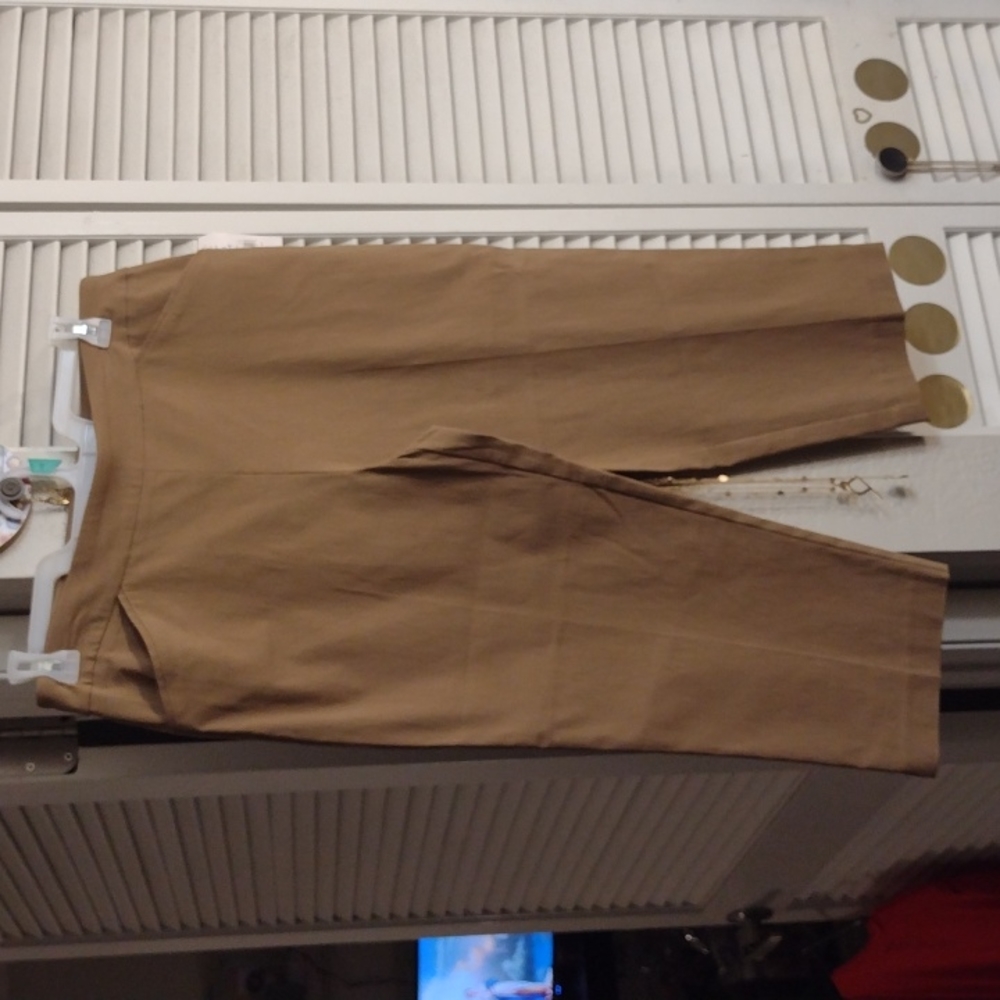 Time and tru tan capris